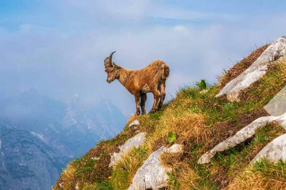 Kranjska Gora Vršič Waar het avontuur begint